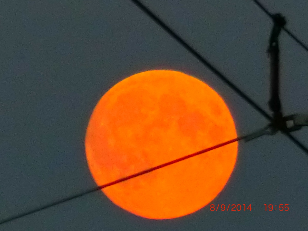 was ist in einem Namen