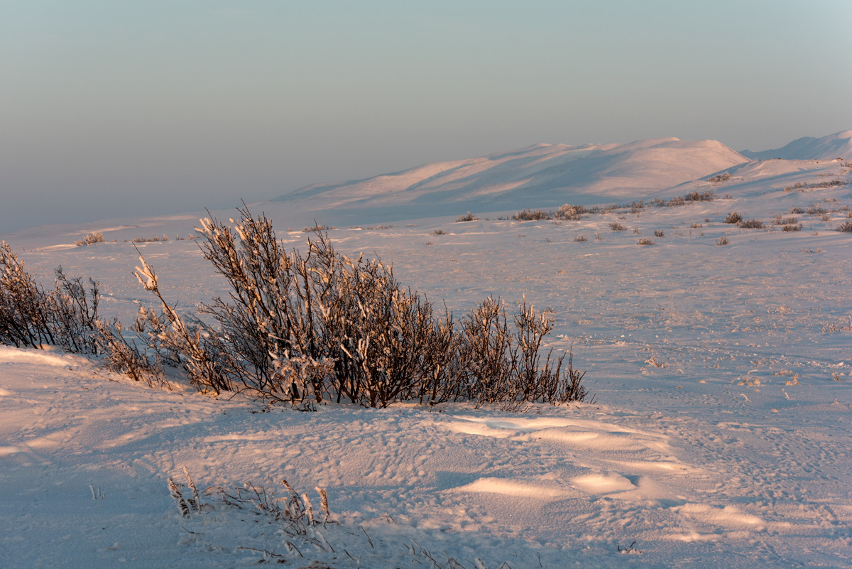 Chukotka. Tundra