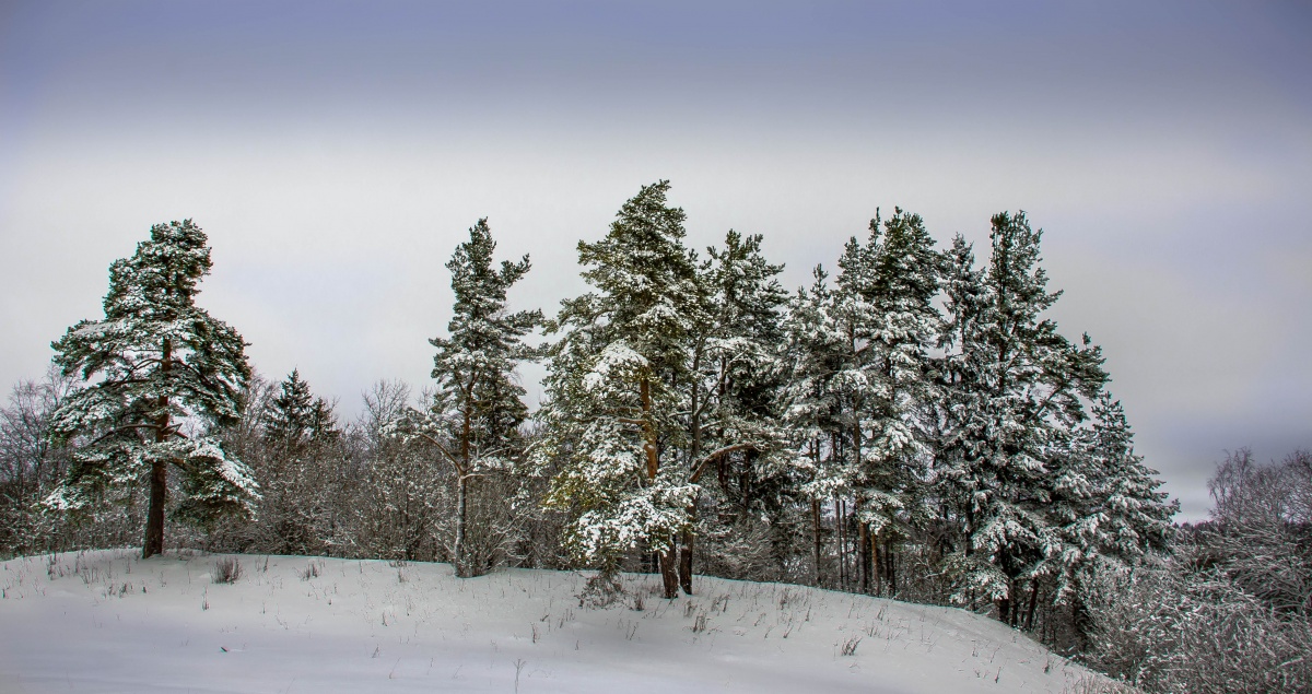 Nach einer nächtlichen Schneefall