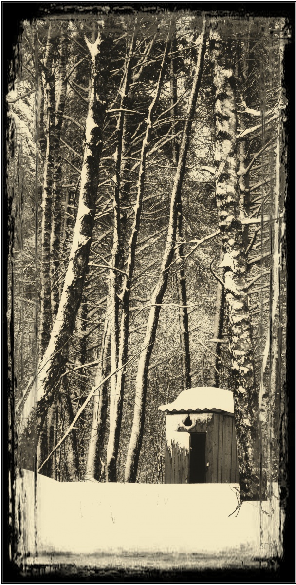 die Prosa des Lebens