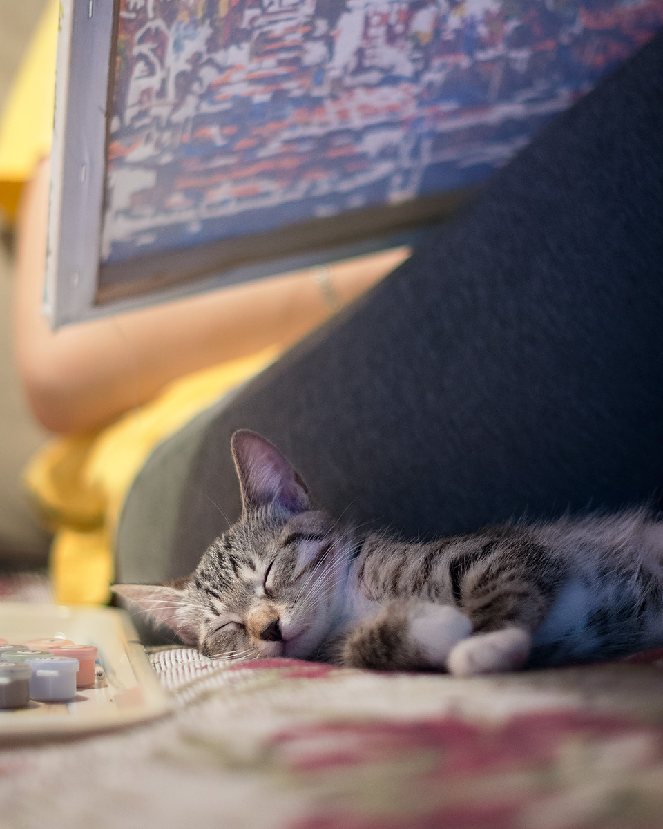 Momente der Kreativität