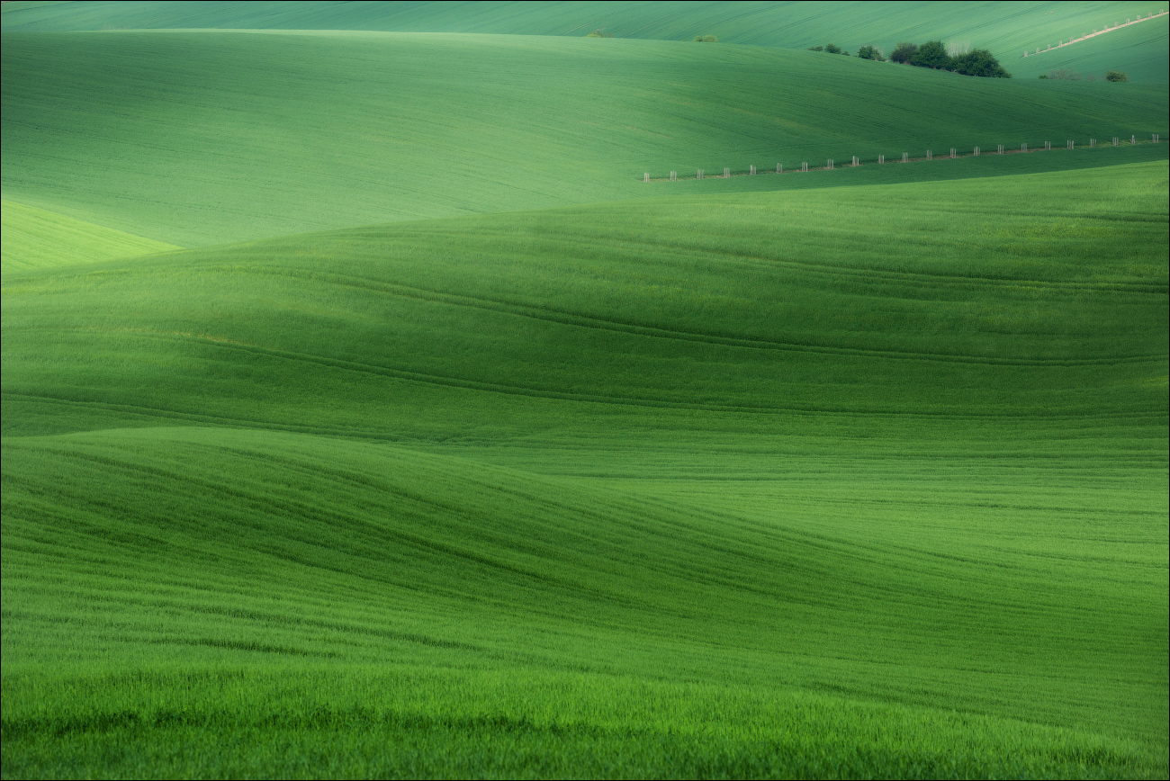 / 50 Schattierungen von Grün /