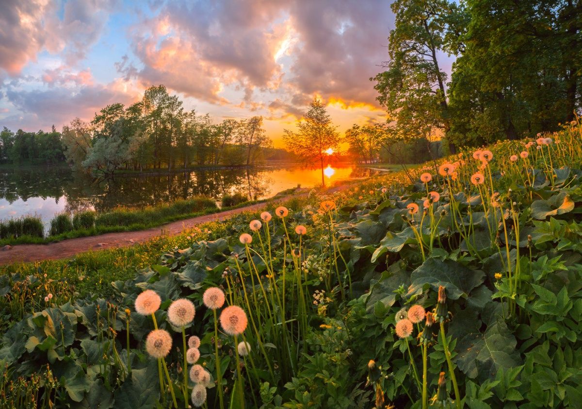 In den letzten Tagen des Frühlings.