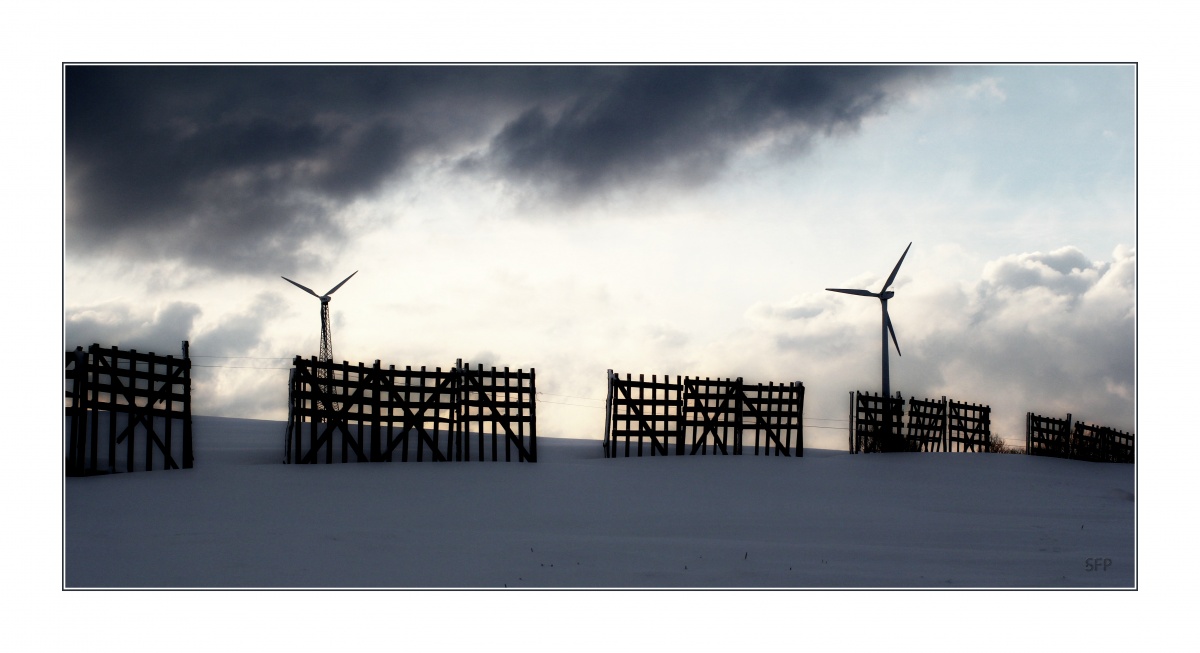 Guardians of the Sky