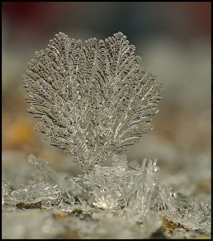 Wasserfall Aussehen ...