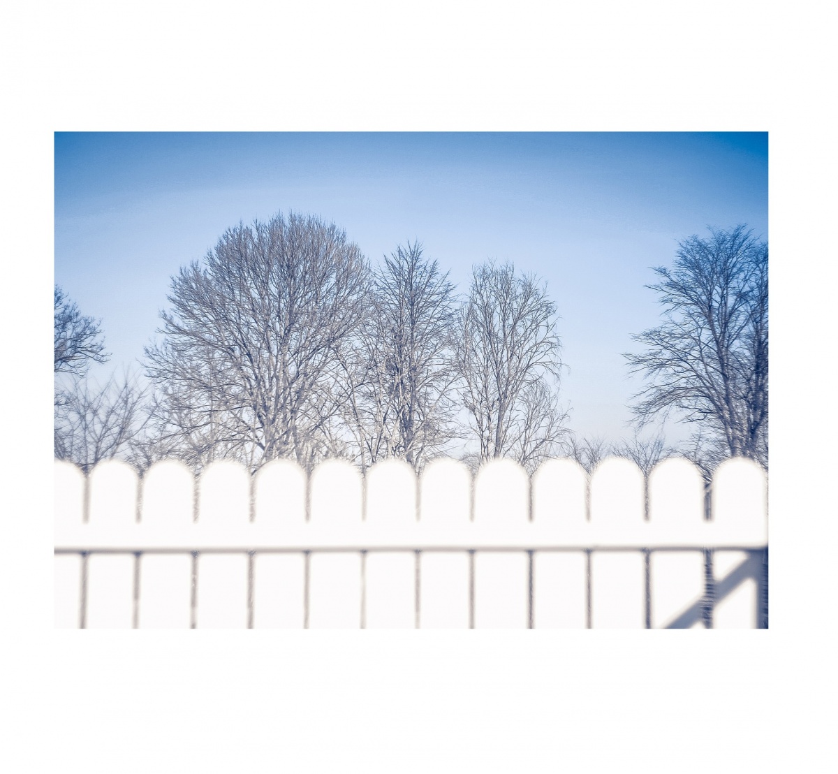 Und dort, hinter dem Zaun ...