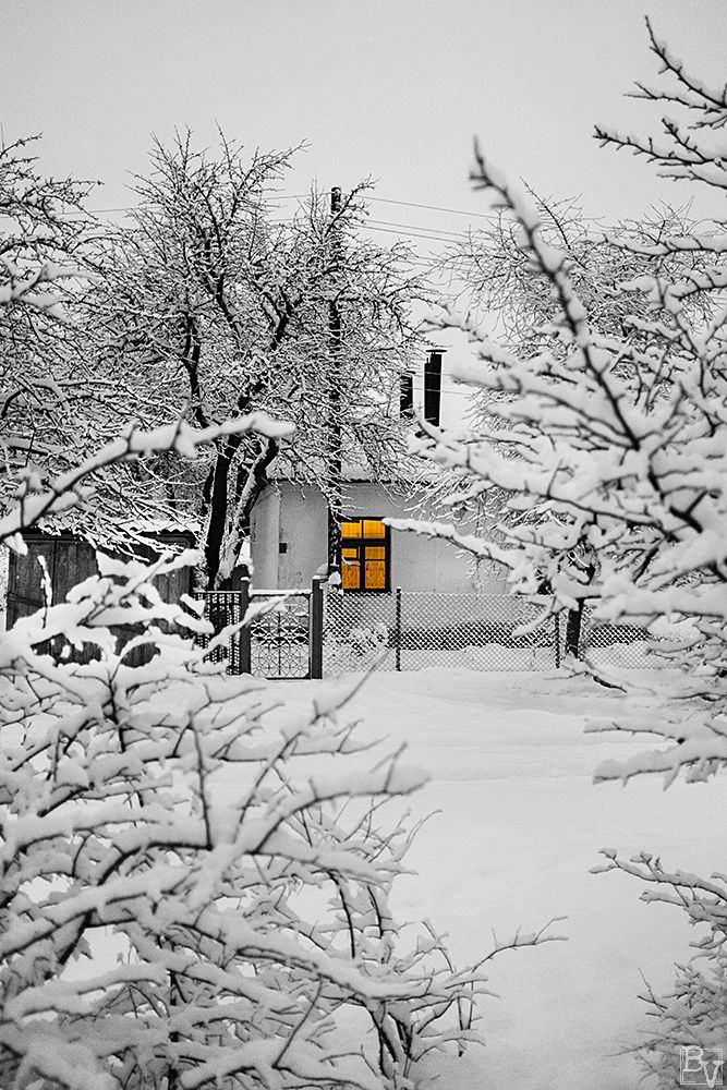 Wintermorgen in der Privatwirtschaft