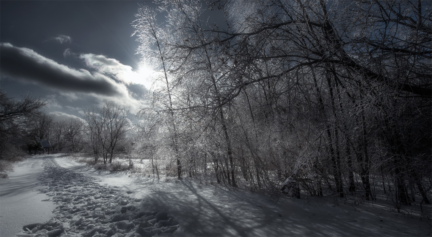 dressed by ice......