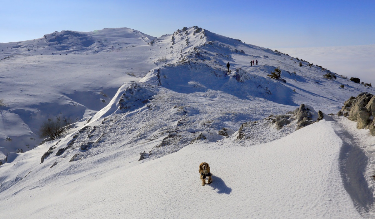 Oberen Plateau Chater-Dag