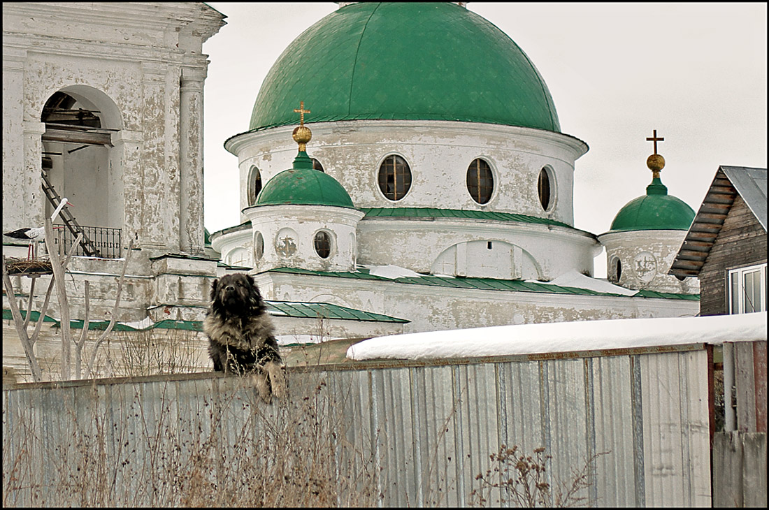 Barking und Bewachung
