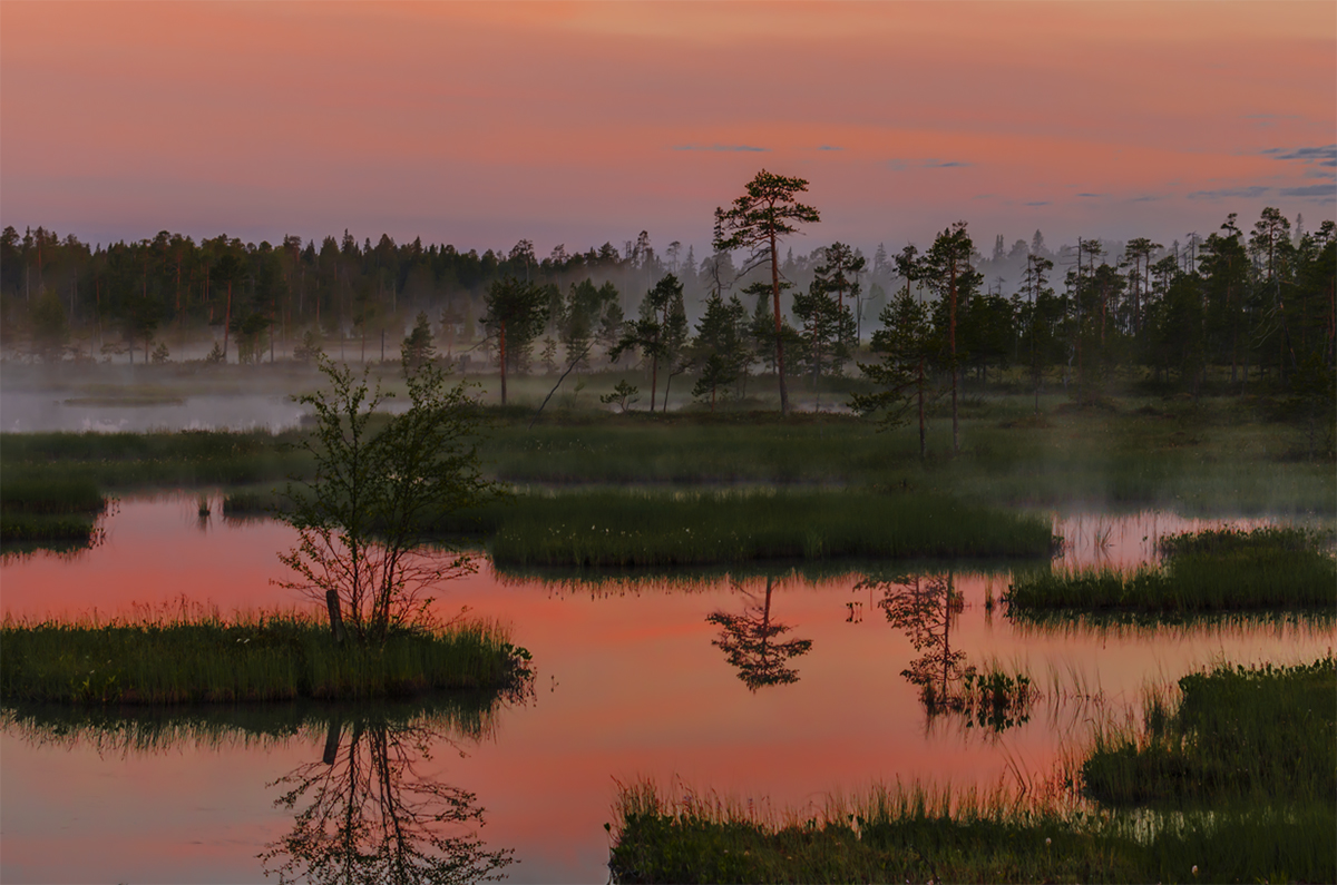 Midnight Sun von Karelien