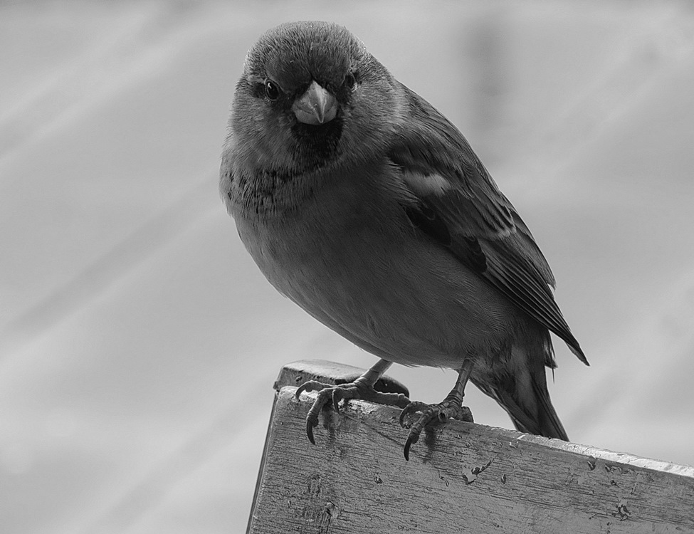 Und sie sagen, dass wir nicht fotogen ...