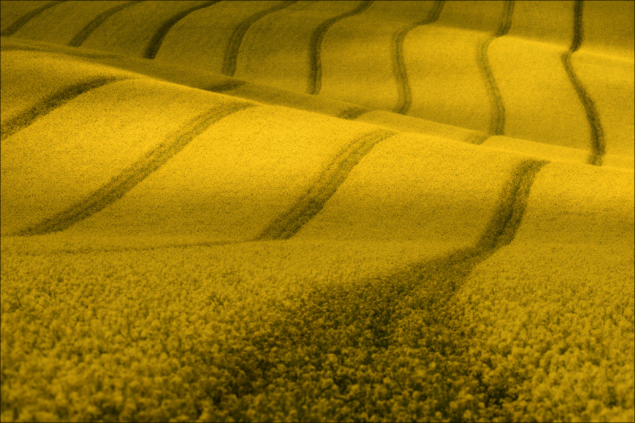 / Drei Etüden mit Vergewaltigung /