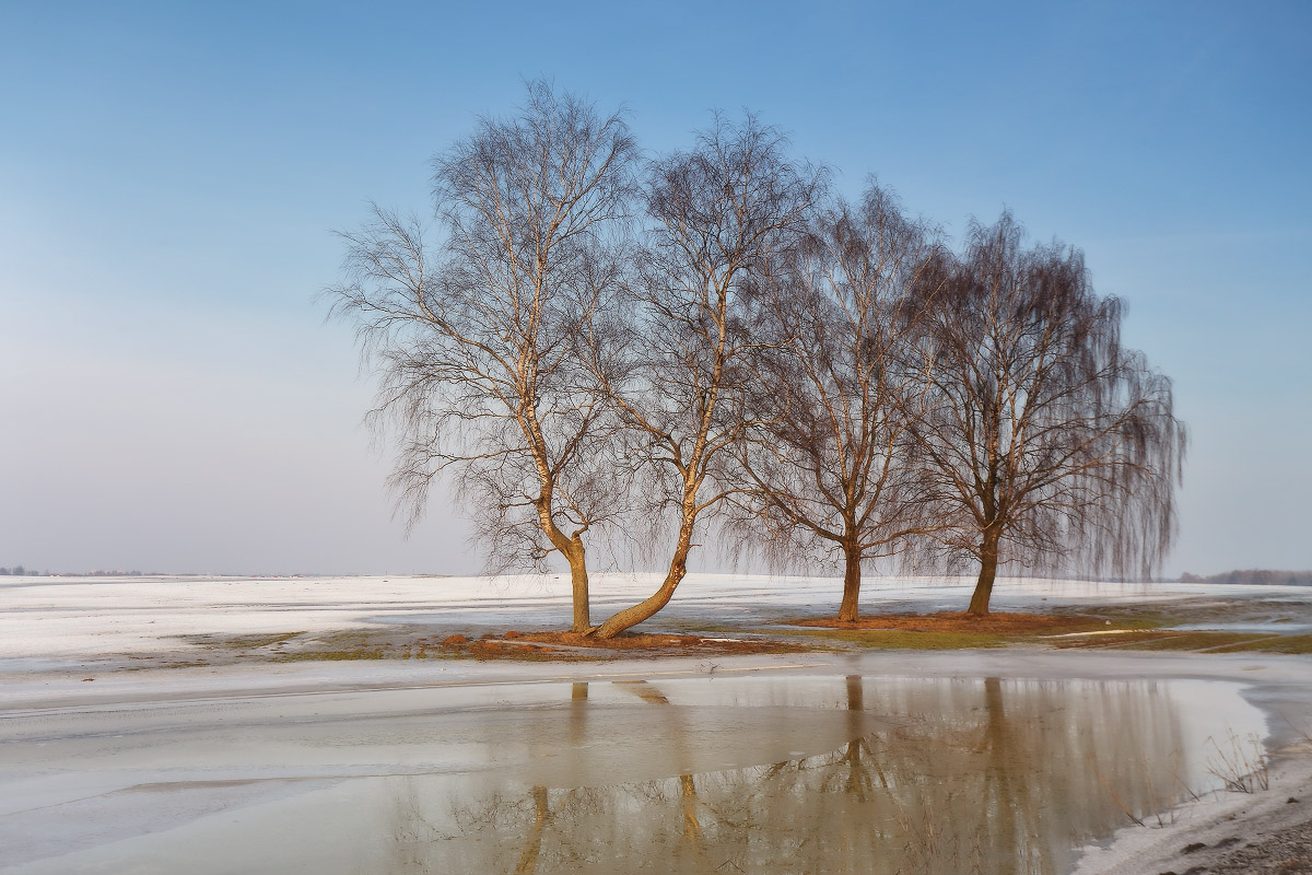Über vorzeitigen Frühlings