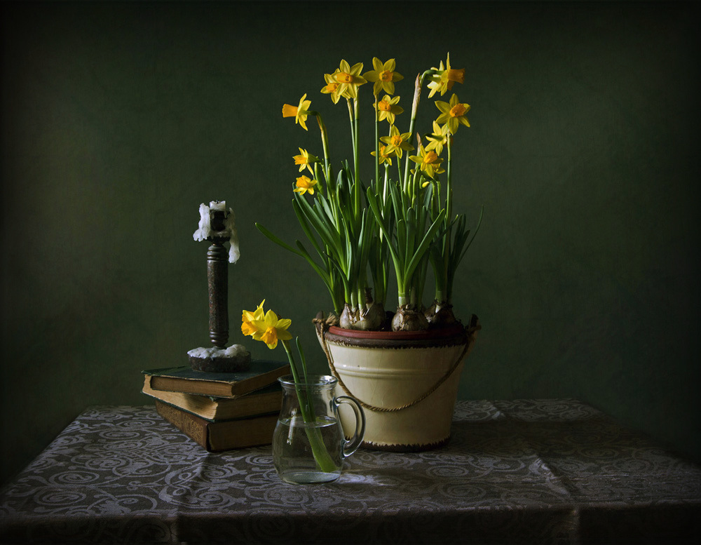 Beschleunigen Sie den Frühling ...