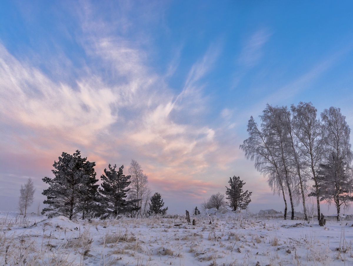 Erfolgreiche Morgen!
