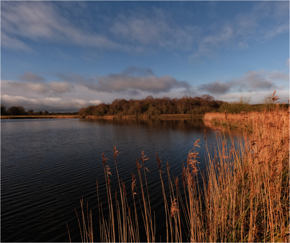 ... Die Februar-Pause ...