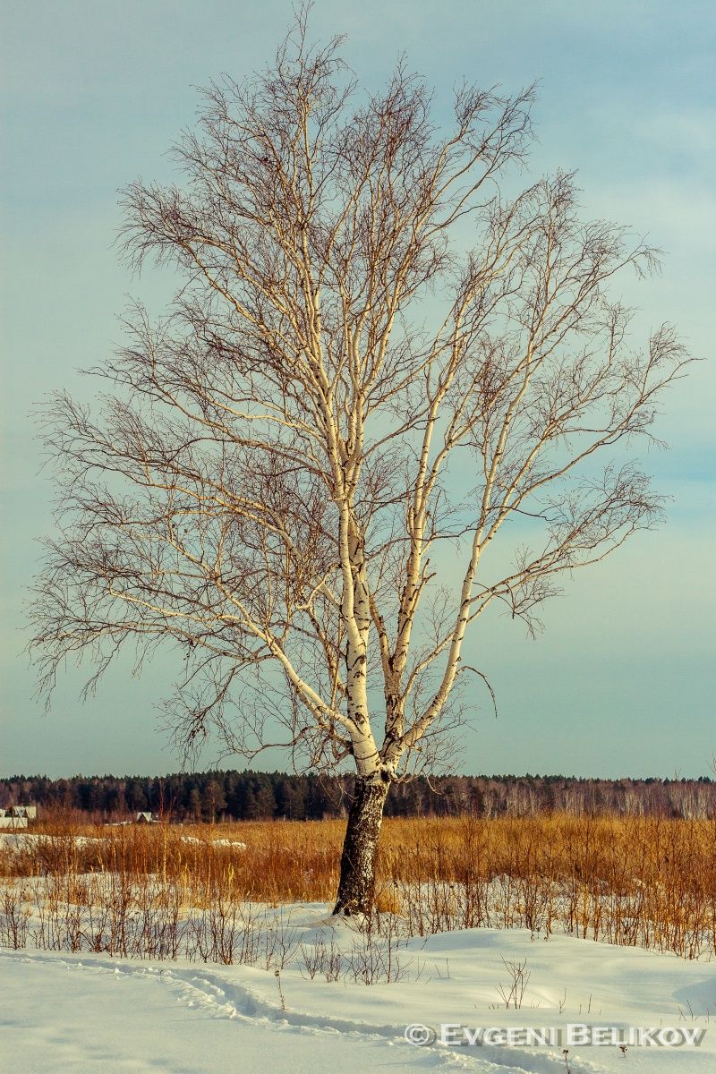 In splendid isolation