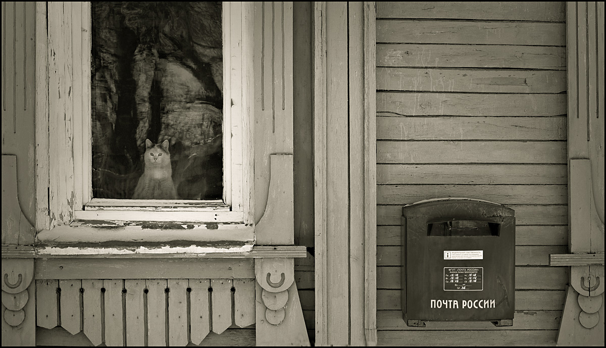 Ein Barsiku niemand schreibt ...