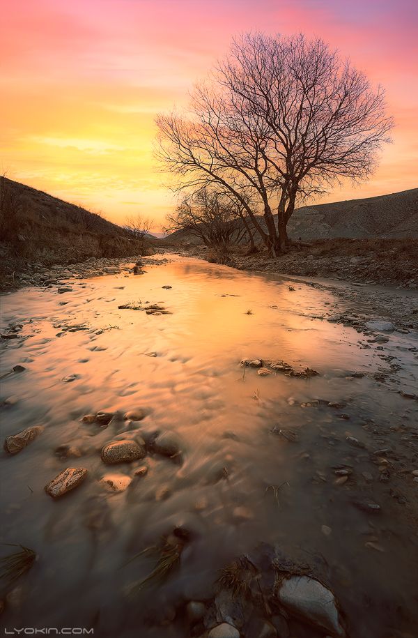 Ich kümmere mich um jeden Tag, ohne eine Spur zu verlassen