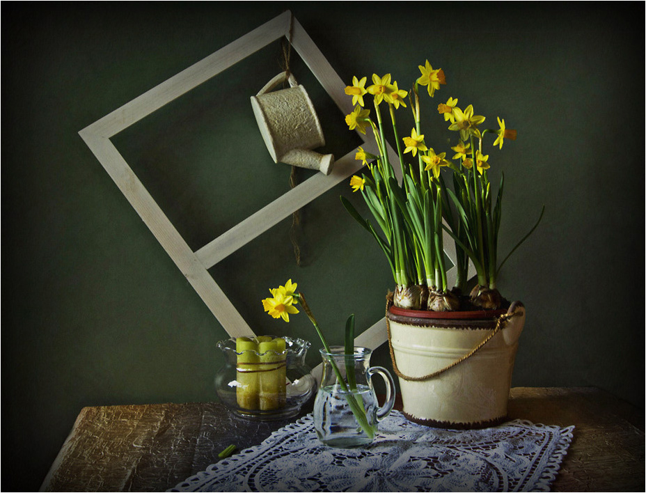 Beschleunigen Sie den Frühling ... (2)