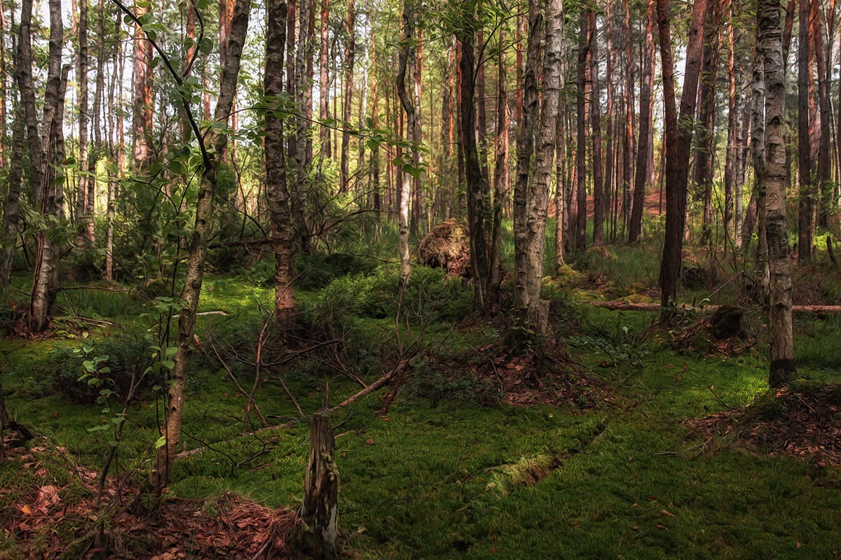 Es gibt Wunder, gibt goblin wandert
