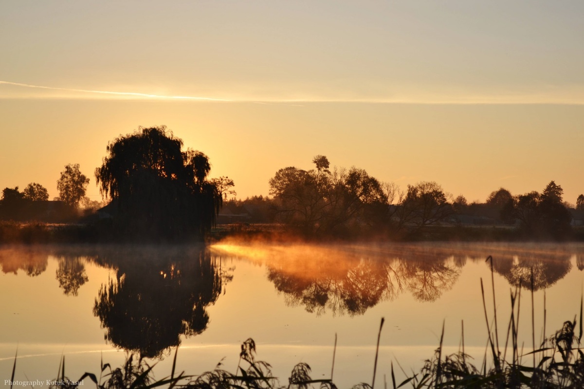 Die warmen Atem des Morgens!
