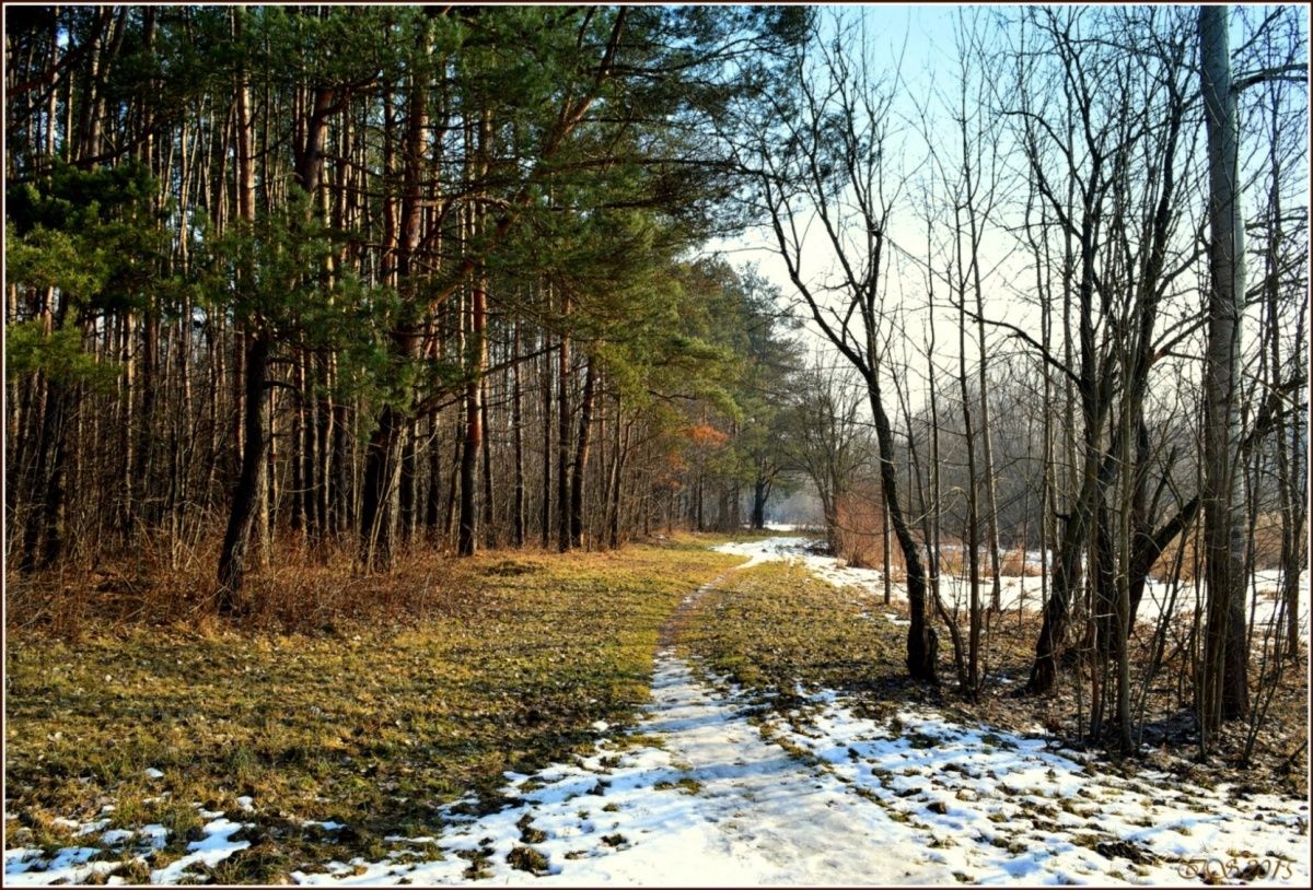 Der Frühling kommt, Frühlingsstraße