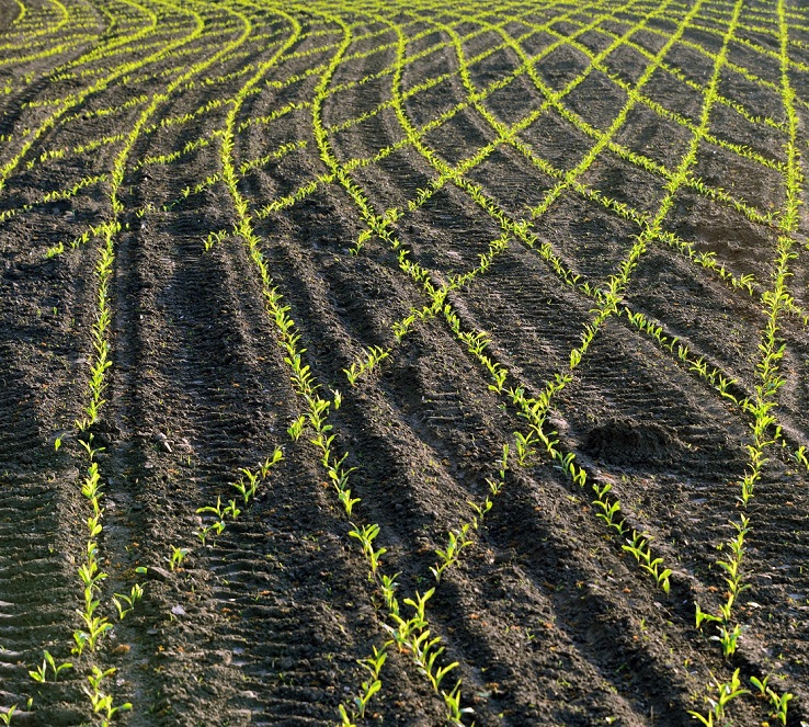 Krümmung der Raum-Zeit-