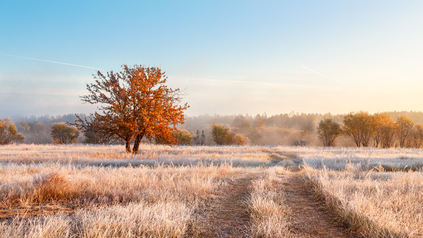 In den Farben des Herbstes im Oktober