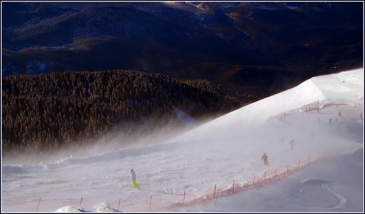 Rose Farm, South Hang.