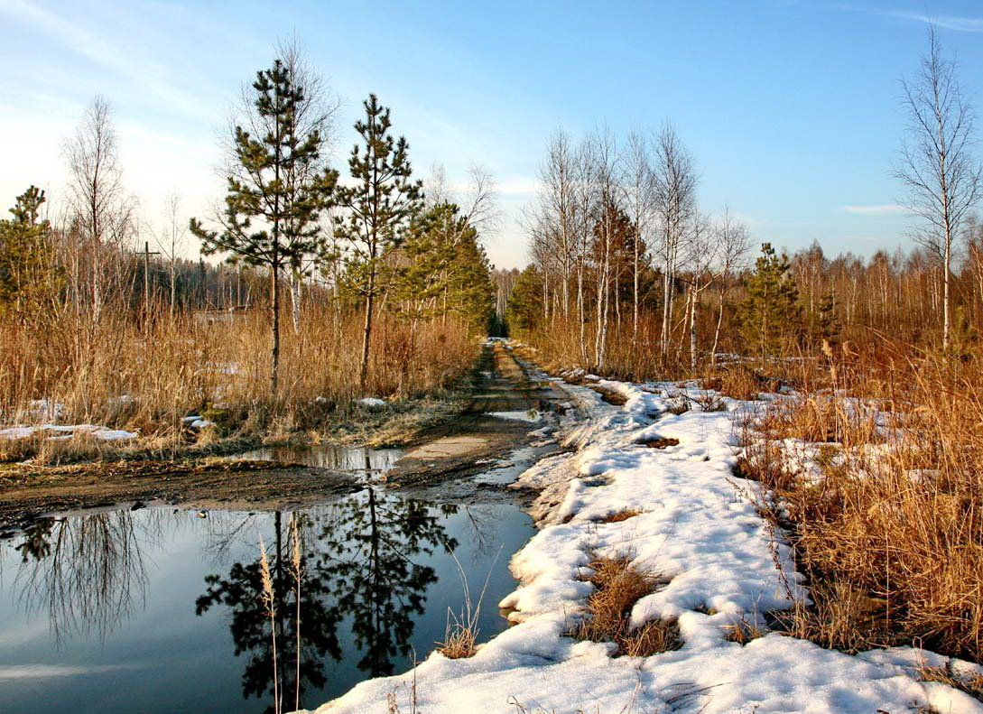 Ich schaue auf den dunklen See ...