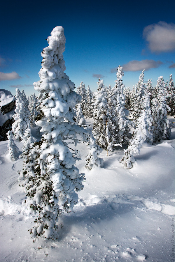 Hier auf unbekannte Wege