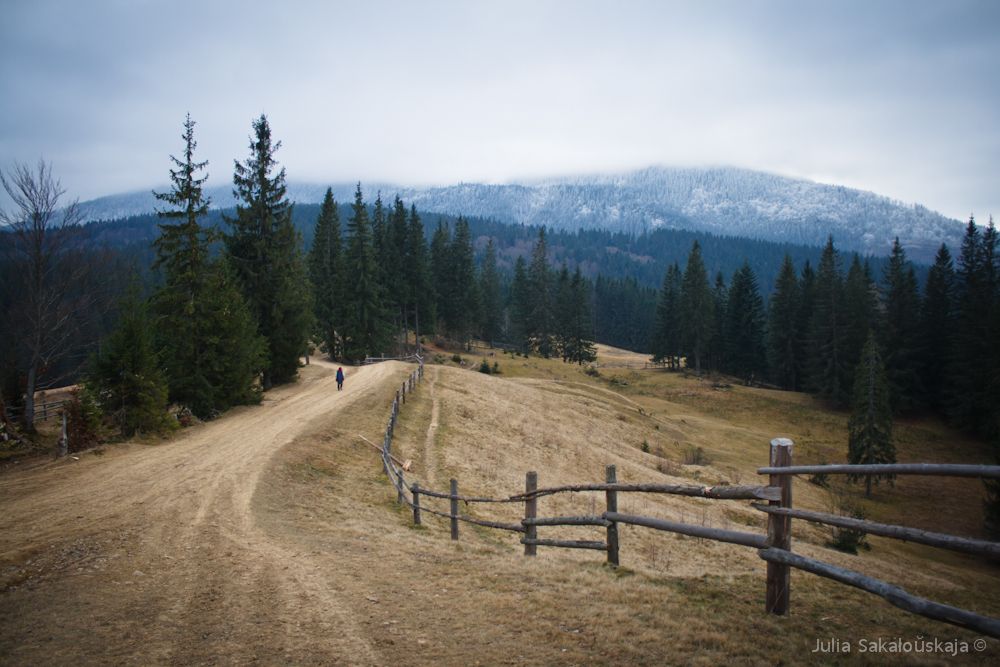 Nach und nach oben / Road in Gori