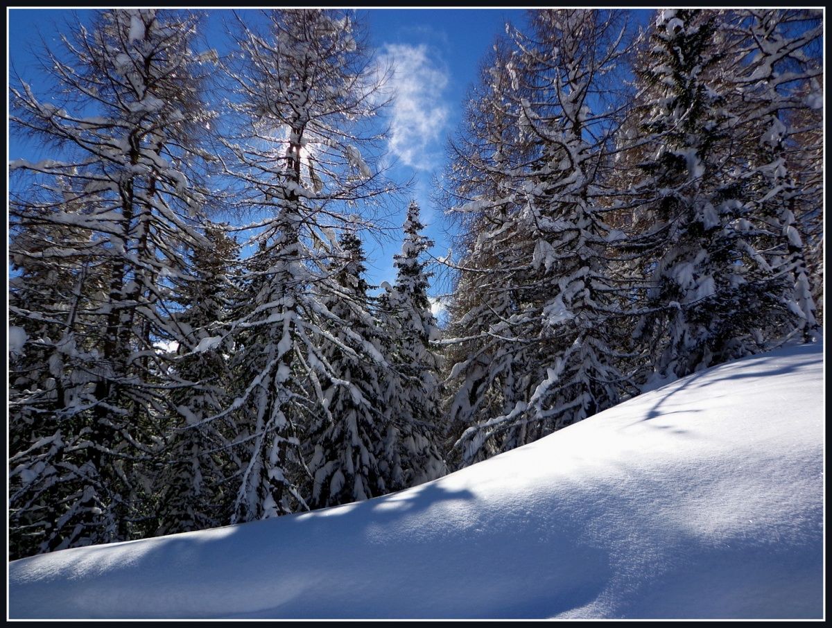 "Frost und die Sonne ..."