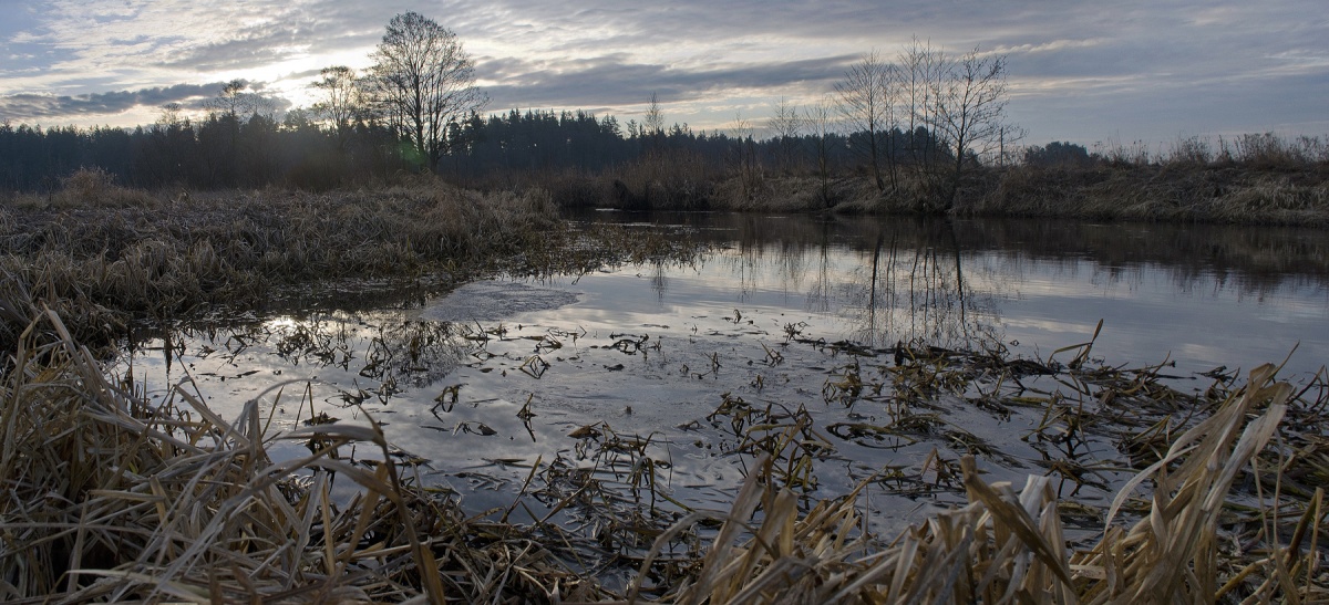 Frühling Morgendämmerung