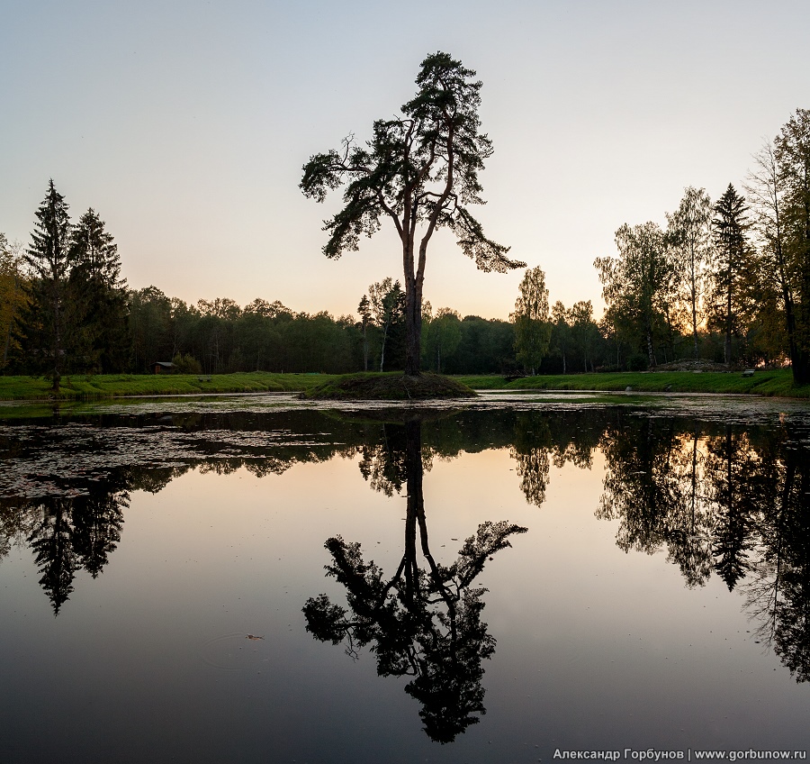 Gefangene der alten See