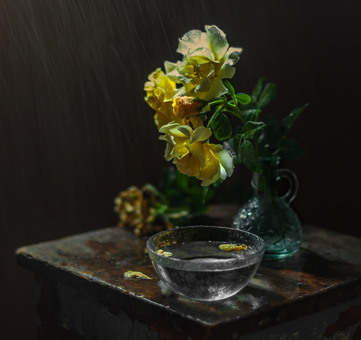 Rose in der regen ...