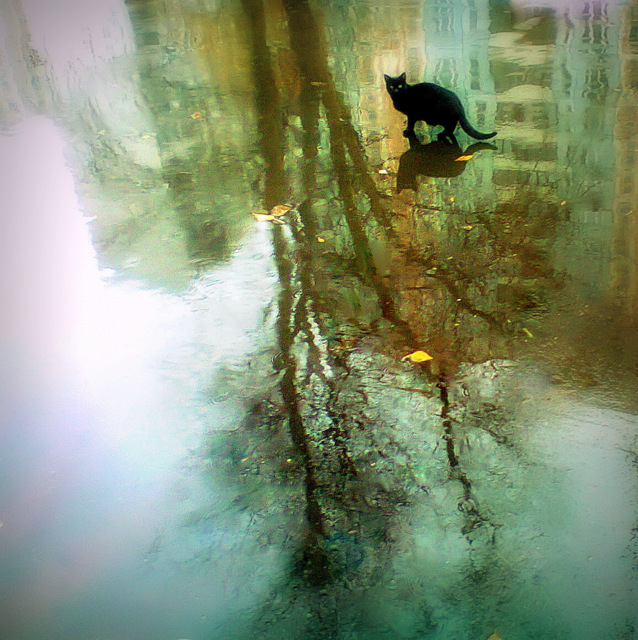 Er verbrachte in diesem Sommer