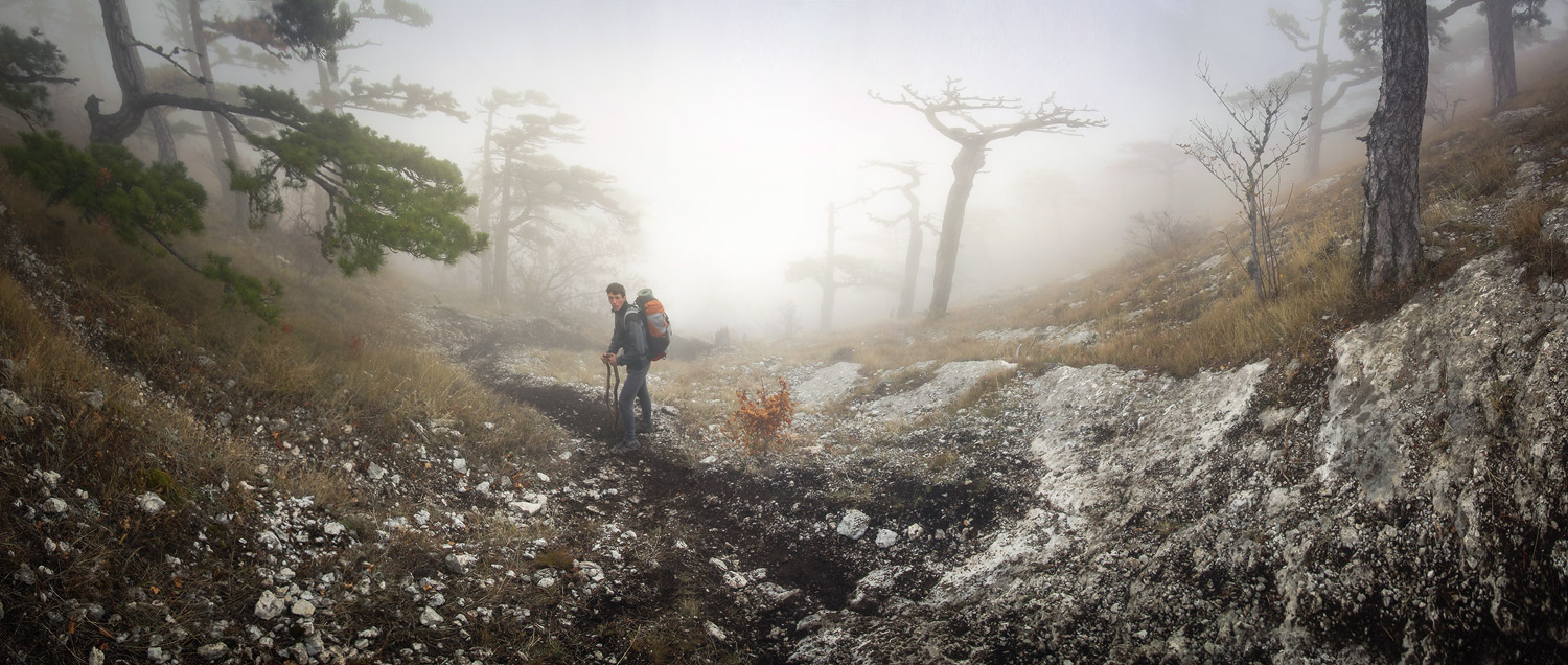 Pterodactyls Ausschau nach