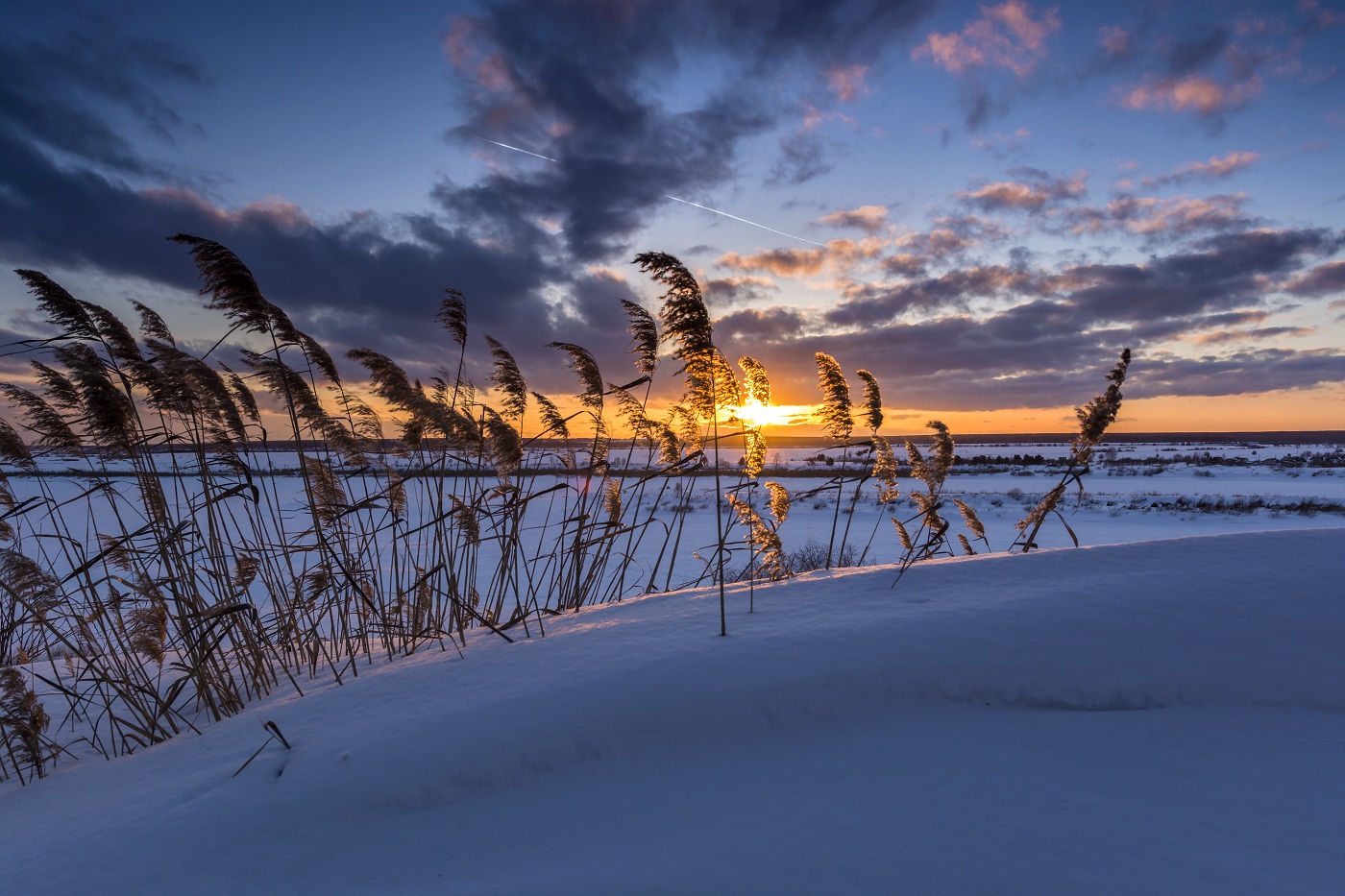 Jungle Sonnenuntergang!