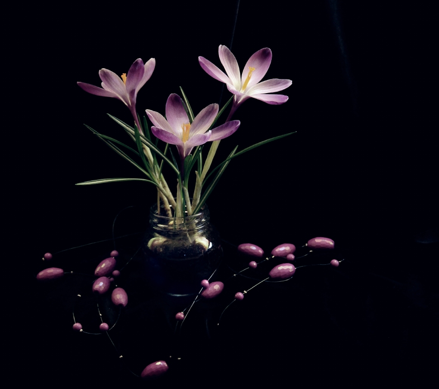 Stilleben mit Perlen.