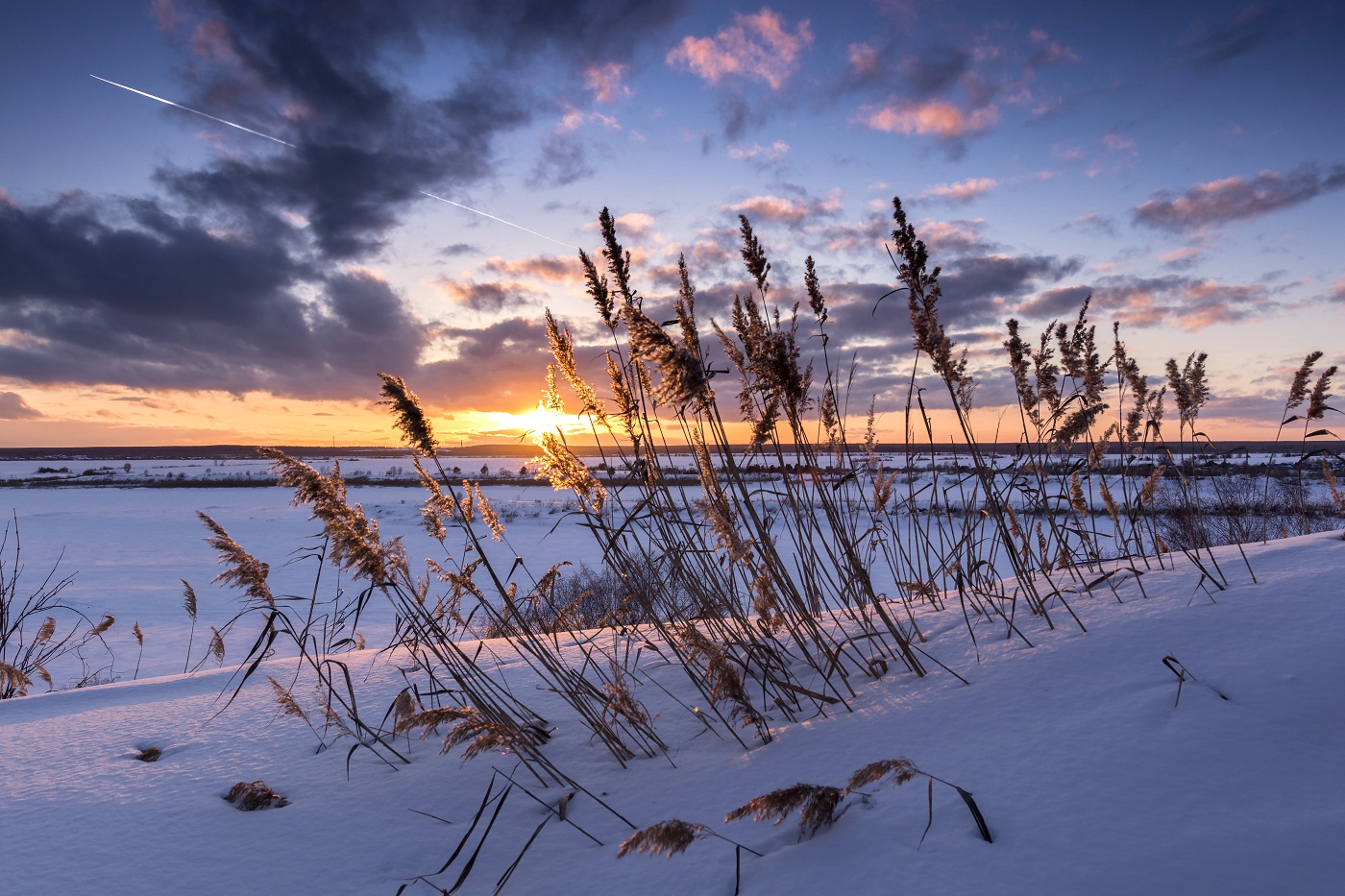 Jungle Sonnenuntergang! (2)