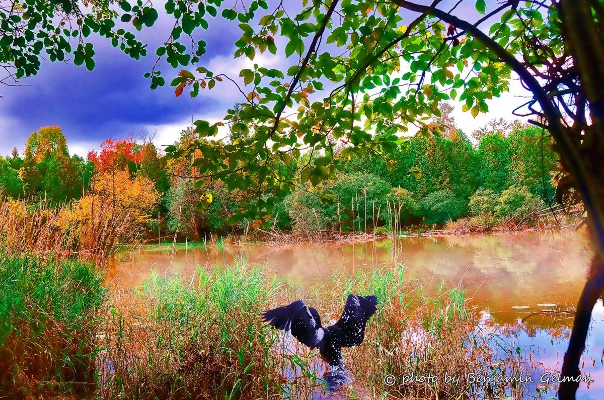 Autumn in a quiet backwater