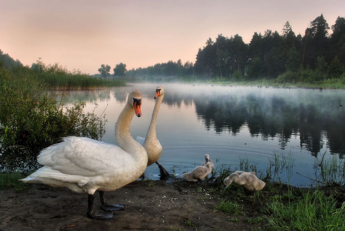 Vor dem Hintergrund des Sees entfernt die Familie!