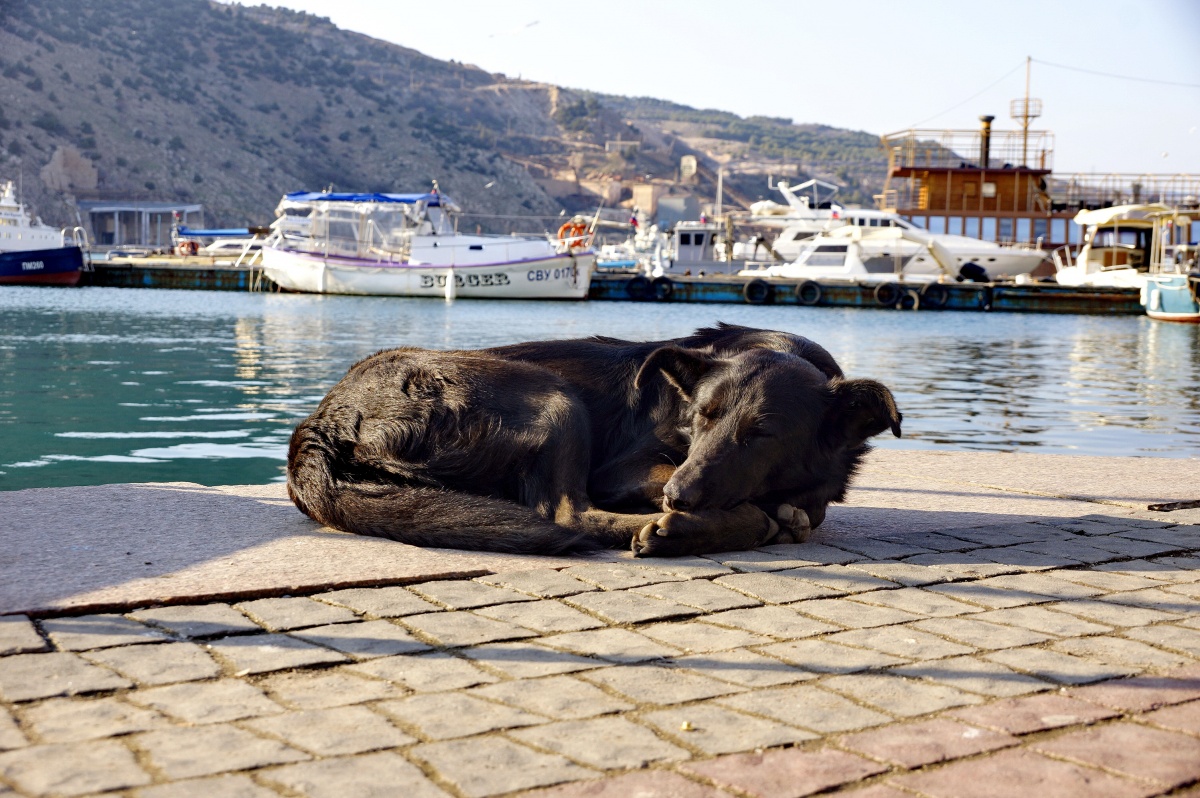 Im Vorgriff auf die Besitzer