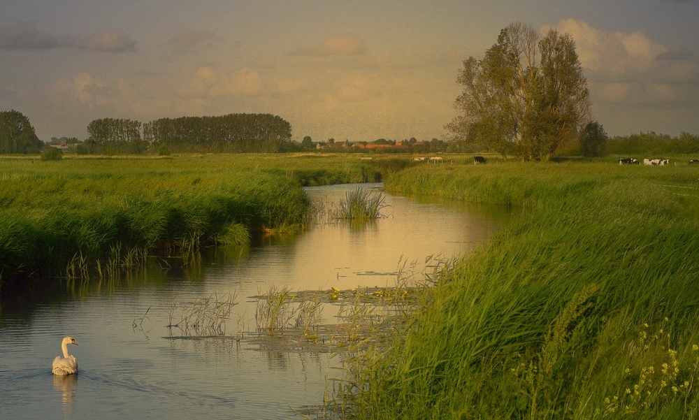 A beautiful spring morning.