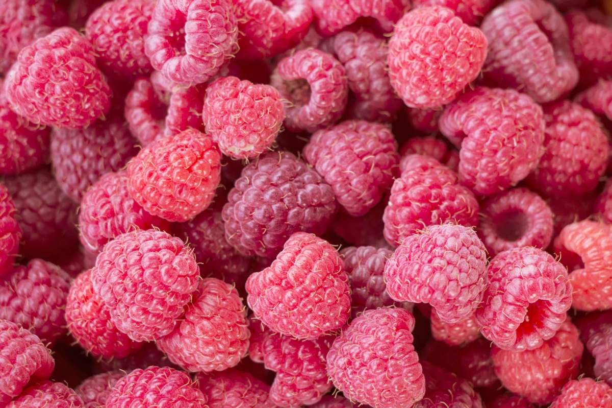 Sweet raspberries
