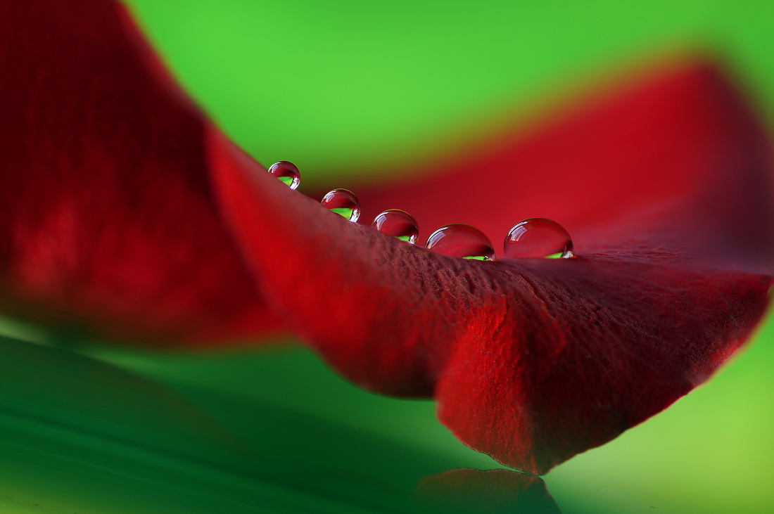 Eine Reihe von "Kurven"