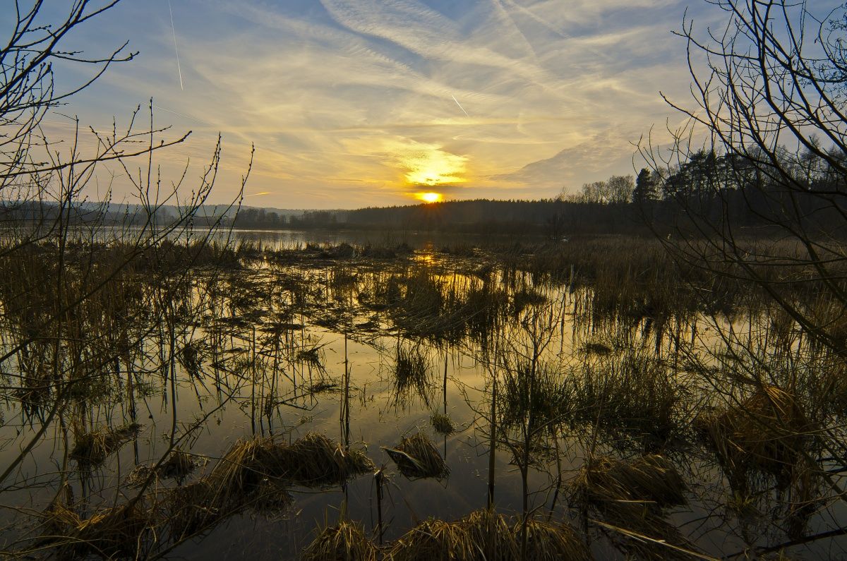 Sonnenuntergang auf dem See.